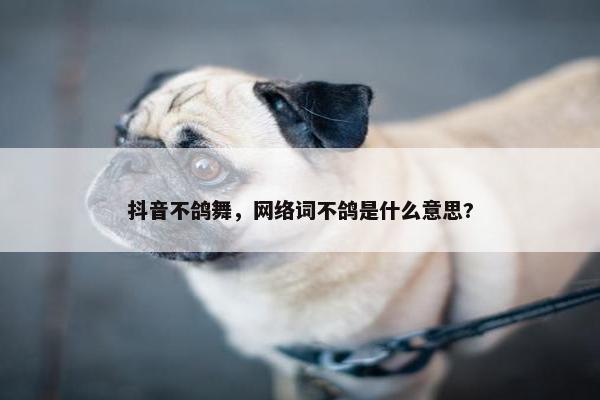 抖音不鸽舞，网络词不鸽是什么意思?