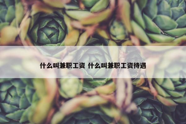 什么叫兼职工资 什么叫兼职工资待遇