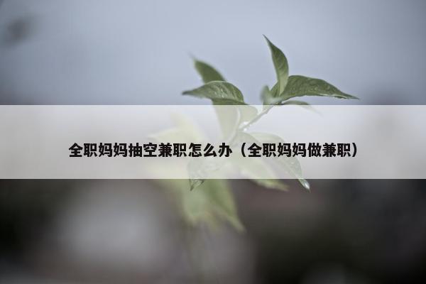 全职妈妈抽空兼职怎么办（全职妈妈做兼职）