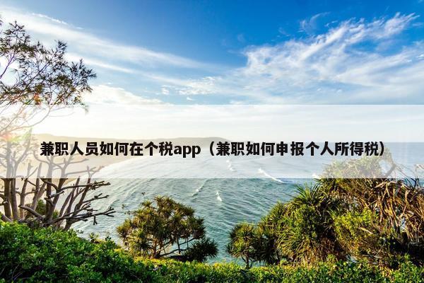 兼职人员如何在个税app（兼职如何申报个人所得税）