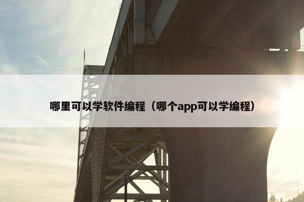 哪里可以学软件编程（哪个app可以学编程）