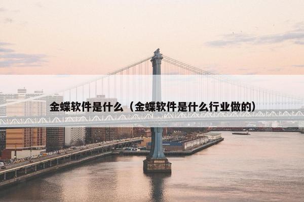 金蝶软件是什么（金蝶软件是什么行业做的）