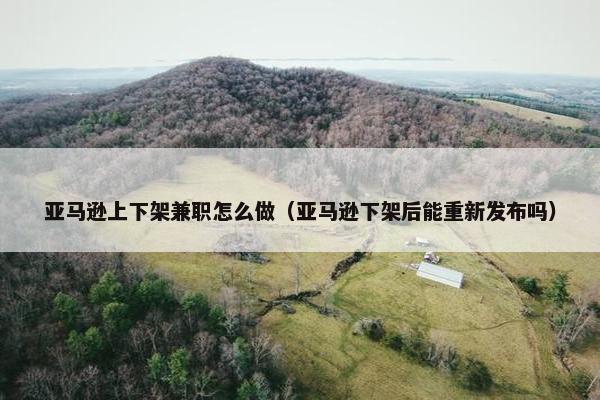 亚马逊上下架兼职怎么做（亚马逊下架后能重新发布吗）