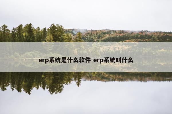 erp系统是什么软件 erp系统叫什么