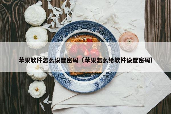 苹果软件怎么设置密码（苹果怎么给软件设置密码）