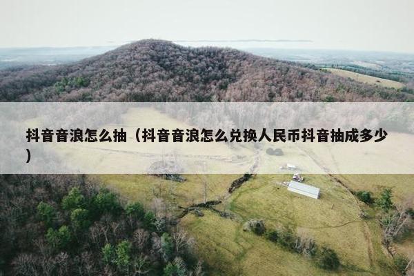 抖音音浪怎么抽（抖音音浪怎么兑换人民币抖音抽成多少）