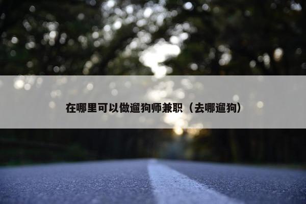 在哪里可以做遛狗师兼职（去哪遛狗）