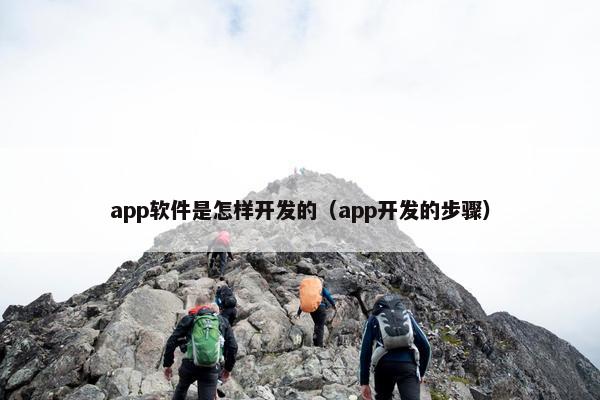 app软件是怎样开发的（app开发的步骤）