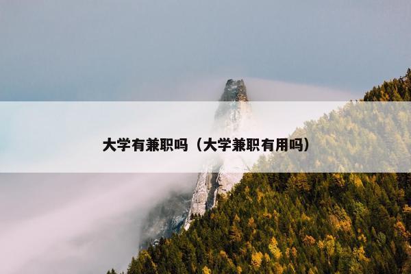 大学有兼职吗（大学兼职有用吗）