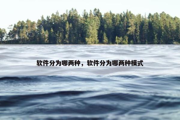 软件分为哪两种，软件分为哪两种模式