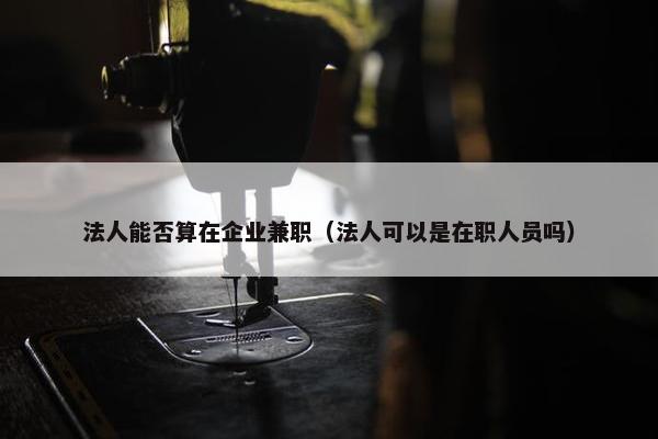 法人能否算在企业兼职（法人可以是在职人员吗）