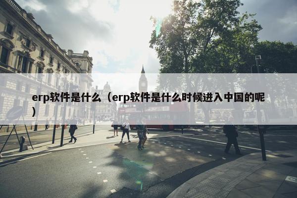 erp软件是什么（erp软件是什么时候进入中国的呢）