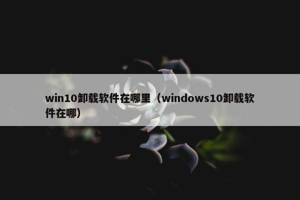 win10卸载软件在哪里（windows10卸载软件在哪）