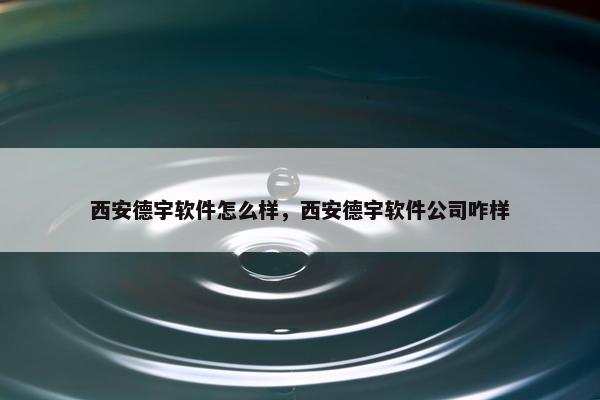 西安德宇软件怎么样，西安德宇软件公司咋样