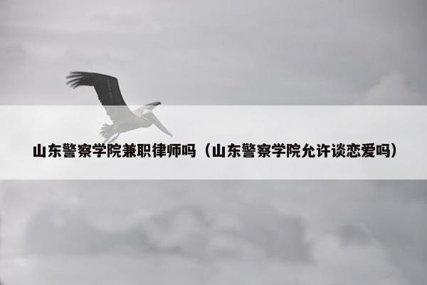 山东警察学院兼职律师吗（山东警察学院允许谈恋爱吗）