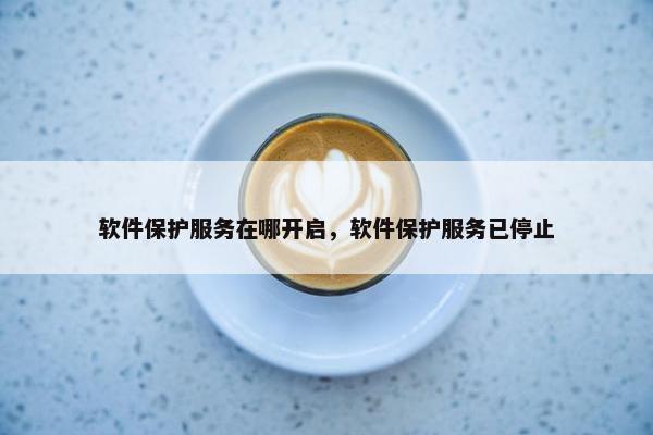 软件保护服务在哪开启，软件保护服务已停止