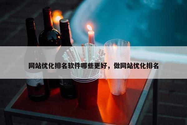 网站优化排名软件哪些更好，做网站优化排名