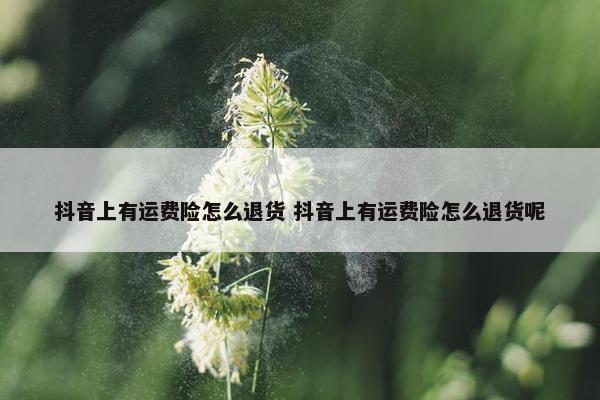 抖音上有运费险怎么退货 抖音上有运费险怎么退货呢