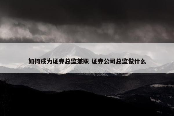 如何成为证券总监兼职 证券公司总监做什么