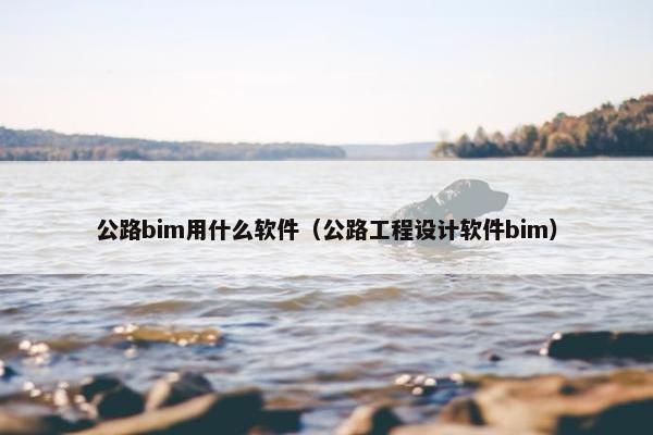 公路bim用什么软件（公路工程设计软件bim）