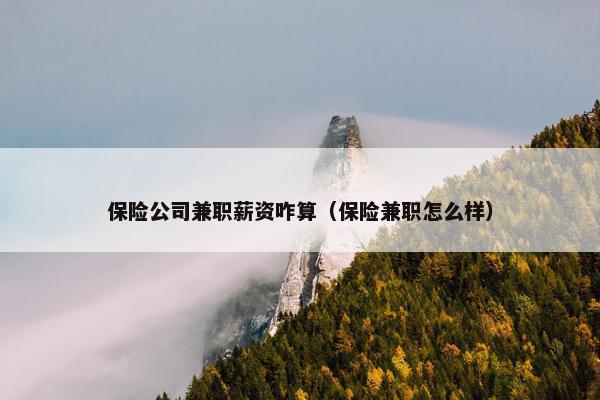 保险公司兼职薪资咋算（保险兼职怎么样）