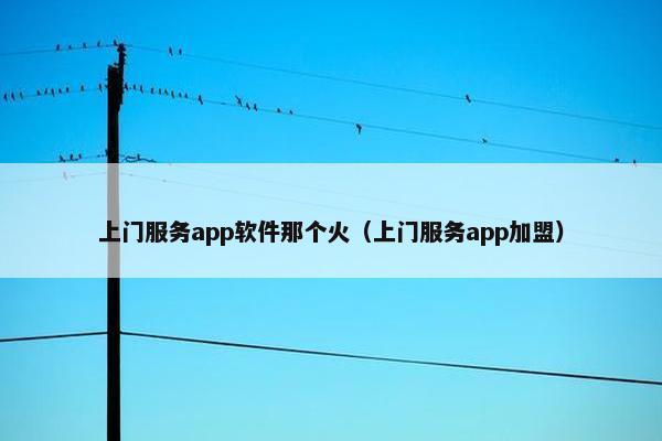 上门服务app软件那个火（上门服务app加盟）