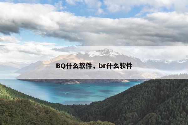 BQ什么软件，br什么软件