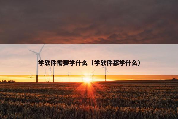 学软件需要学什么（学软件都学什么）