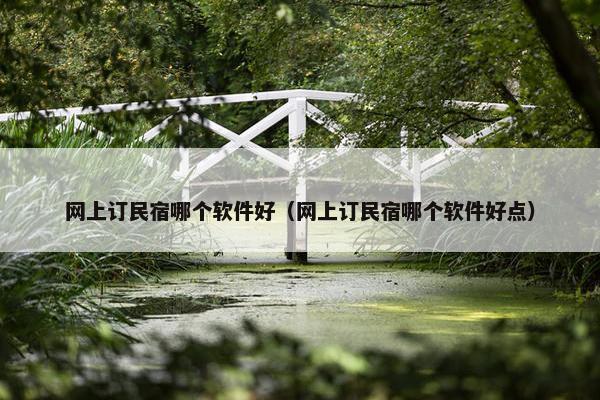 网上订民宿哪个软件好（网上订民宿哪个软件好点）