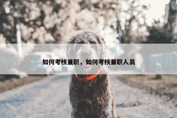 如何考核兼职，如何考核兼职人员