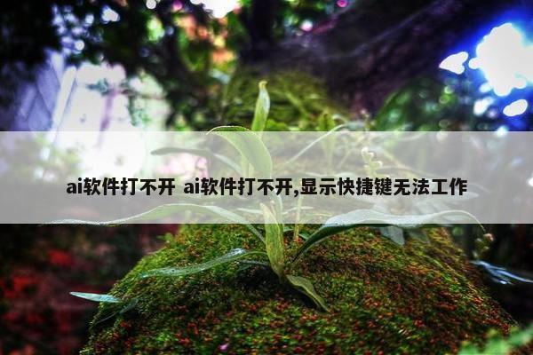 ai软件打不开 ai软件打不开,显示快捷键无法工作