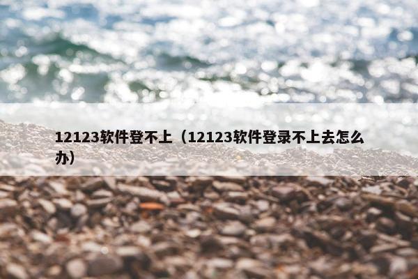 12123软件登不上（12123软件登录不上去怎么办）