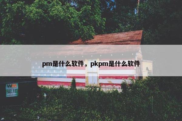 pm是什么软件，pkpm是什么软件