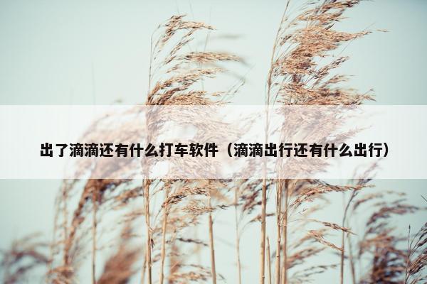 出了滴滴还有什么打车软件（滴滴出行还有什么出行）