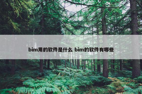 bim用的软件是什么 bim的软件有哪些