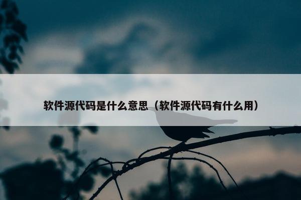 软件源代码是什么意思（软件源代码有什么用）