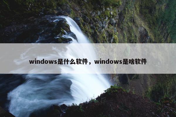 windows是什么软件，windows是啥软件