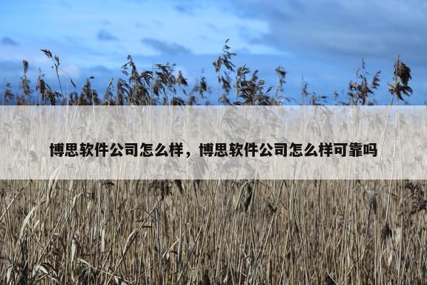 博思软件公司怎么样，博思软件公司怎么样可靠吗