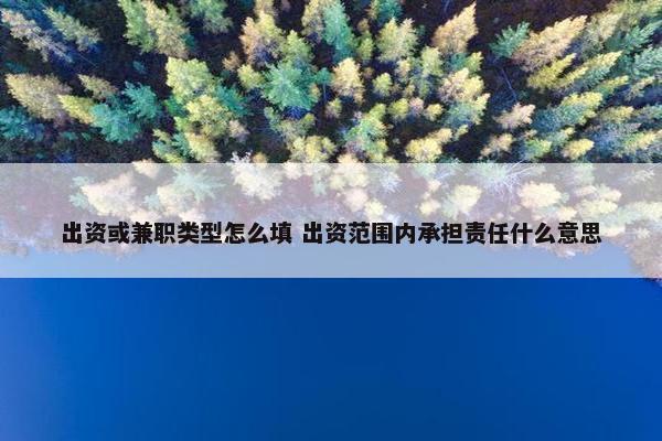 出资或兼职类型怎么填 出资范围内承担责任什么意思