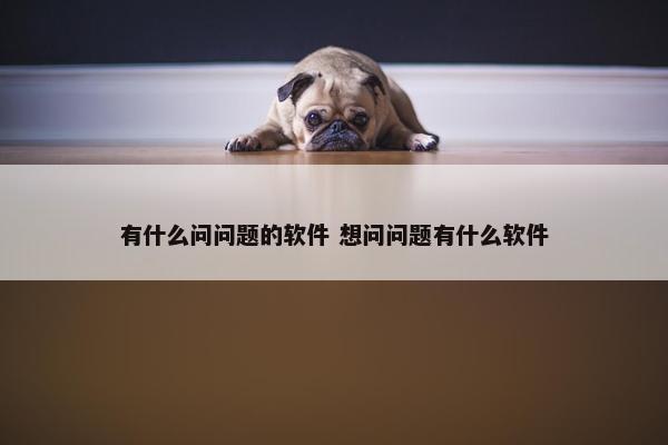 有什么问问题的软件 想问问题有什么软件