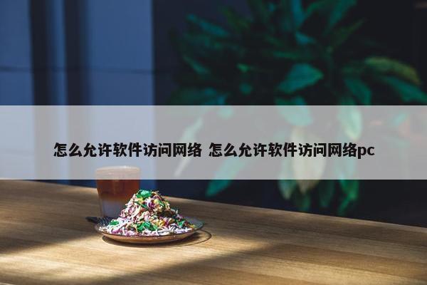 怎么允许软件访问网络 怎么允许软件访问网络pc