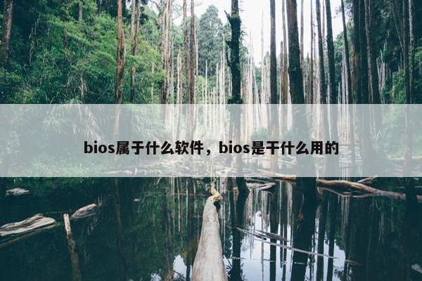 bios属于什么软件，bios是干什么用的