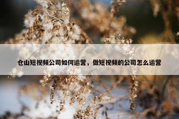 仓山短视频公司如何运营，做短视频的公司怎么运营