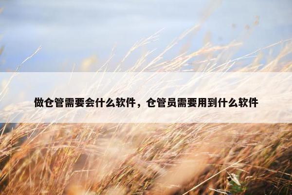 做仓管需要会什么软件，仓管员需要用到什么软件