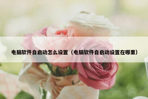 电脑软件自启动怎么设置（电脑软件自启动设置在哪里）