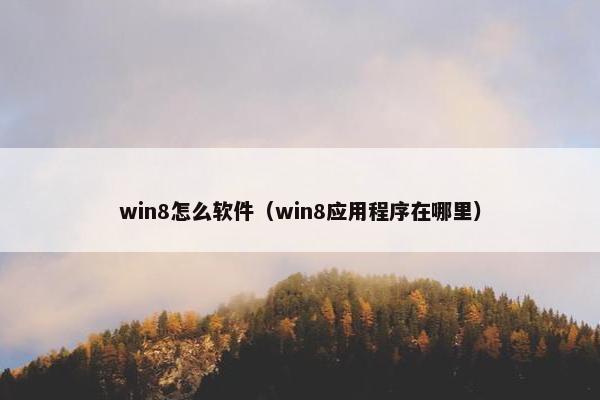 win8怎么软件（win8应用程序在哪里）