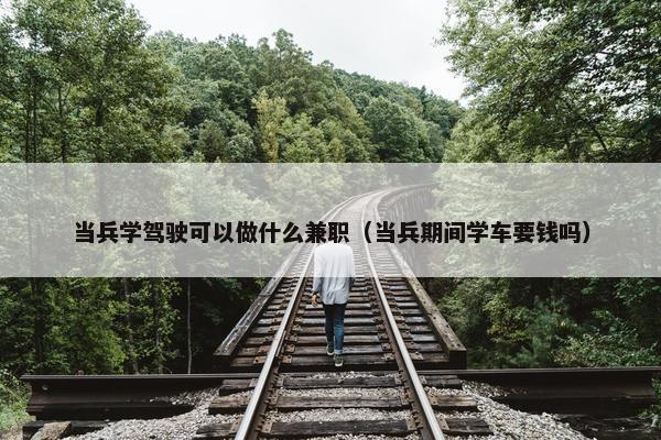 当兵学驾驶可以做什么兼职（当兵期间学车要钱吗）