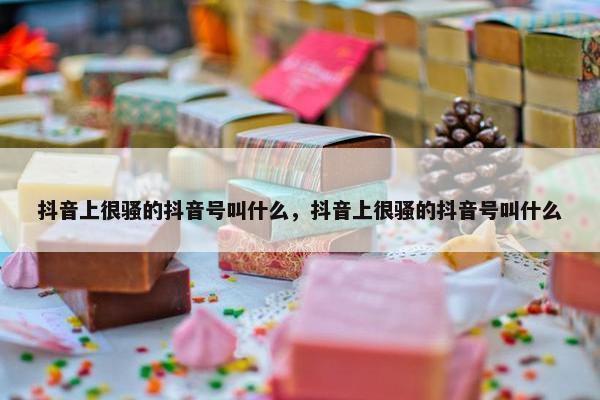 抖音上很骚的抖音号叫什么，抖音上很骚的抖音号叫什么