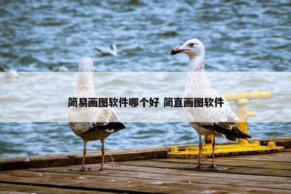 简易画图软件哪个好 简直画图软件