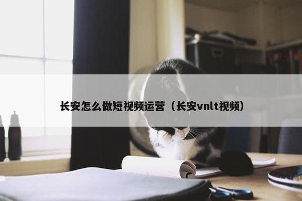 长安怎么做短视频运营（长安vnlt视频）